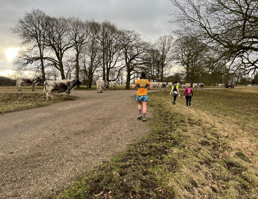 Hardwick Hobble (Winter) 2024 Race Report and ResultsSteel City Striders Running Club Sheffield